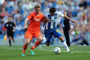 Brighton & Hove Albion vs. Millwall: Home Game - August 31, 2013