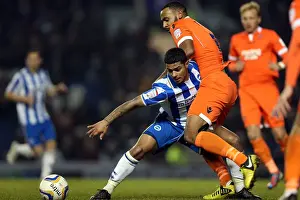 Millwall - 18-12-2012 Prints: Brighton & Hove Albion vs Millwall: Liam Bridcutt Defends at Amex Stadium