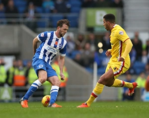 Brighton and Hove Albion vs Milton Keynes Dons: Sky Bet Championship Showdown at American Express Community Stadium (07/11/2015)
