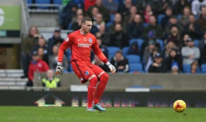 Brighton and Hove Albion vs Milton Keynes Dons: Sky Bet Championship Showdown at American Express Community Stadium (07.11.2015)