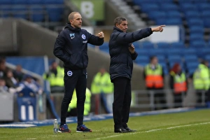 Brighton and Hove Albion vs Milton Keynes Dons: FA Cup Third Round Battle at American Express Community Stadium (January 7, 2017)