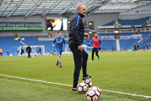Brighton and Hove Albion vs Milton Keynes Dons: FA Cup 3rd Round Battle at American Express Community Stadium (January 2017)