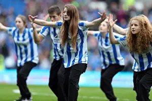 Brighton & Hove Albion vs. Newcastle United (05-01-2013): A Glimpse into the 2012-13 Home Season