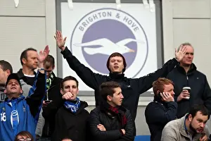 Newcastle United - 05-01-2013 Prints: Brighton & Hove Albion vs. Newcastle United (05-01-2013) - A Glimpse into Our 2012-13 Home Season