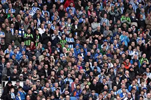 Newcastle United - 05-01-2013 Prints: Brighton & Hove Albion vs. Newcastle United (05-01-2013): A Glimpse into the 2012-13 Home Season