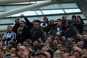 Newcastle United - 05-01-2013 Prints: Brighton & Hove Albion vs. Newcastle United (05-01-2013): A Glimpse into the 2012-13 Home Season