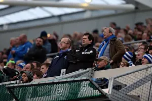 Newcastle United - 05-01-2013 Prints: Brighton & Hove Albion vs. Newcastle United (05-01-2013) - A Glimpse into the 2012-13 Home Season