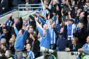 Newcastle United - 05-01-2013 Prints: Brighton & Hove Albion vs. Newcastle United (05-01-2013): A Glimpse into the 2012-13 Home Season