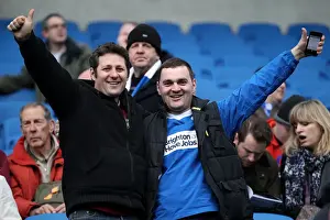 Newcastle United - 05-01-2013 Prints: Brighton & Hove Albion vs. Newcastle United (05-01-2013): A Glimpse into the 2012-13 Home Season