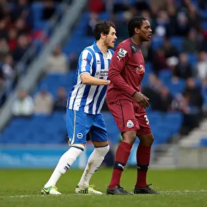 Newcastle United - 05-01-2013 Prints: Brighton & Hove Albion vs. Newcastle United (05-01-2013): A Glimpse into the 2012-13 Home Season