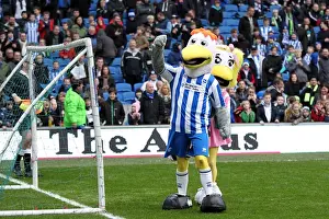 Newcastle United - 05-01-2013 Prints: Brighton & Hove Albion vs. Newcastle United (05-01-2013): A Glimpse into the 2012-13 Home Season