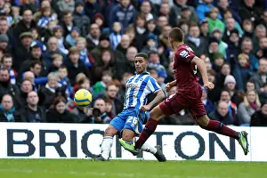 Newcastle United - 05-01-2013 Prints: Brighton & Hove Albion vs. Newcastle United (05-01-2013): A Glimpse into the 2012-13 Home Season