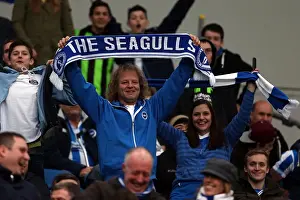 Newcastle United - 05-01-2013 Prints: Brighton & Hove Albion vs. Newcastle United (05-01-2013): A Look Back at Our 2012-13 Home Season