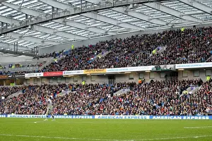 Newcastle United - 05-01-2013 Prints: Brighton & Hove Albion vs. Newcastle United (05-01-2013): A Peek into the 2012-13 Home Campaign