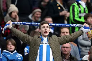 Newcastle United - 05-01-2013 Prints: Brighton & Hove Albion vs. Newcastle United (05-01-2013): A Peek into the 2012-13 Home Season