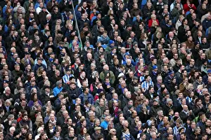 Newcastle United - 05-01-2013 Prints: Brighton & Hove Albion vs. Newcastle United (05-01-2013): A Peek into the 2012-13 Home Season