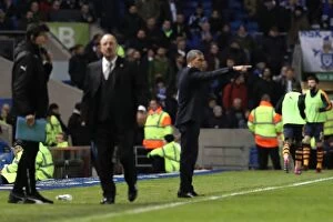 Images Dated 28th February 2017: Brighton and Hove Albion vs. Newcastle United: A Tight Championship Clash at the American Express