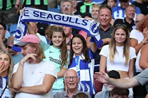 Brighton and Hove Albion vs. Newcastle United: 2023/24 Premier League Clash at American Express Stadium