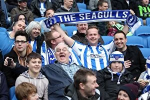 Images Dated 19th April 2001: Brighton & Hove Albion vs. Newcastle United (05-01-2013) - A Peek into the 2012-13 Home Season