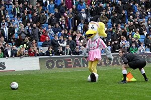 Images Dated 19th April 2001: Brighton & Hove Albion vs. Newcastle United (05-01-2013): A Glimpse into the 2012-13 Home Season