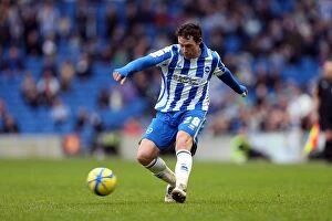 Images Dated 5th January 2013: Brighton & Hove Albion vs. Newcastle United (05-01-2013): A Peek into the 2012-13 Home Season