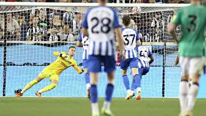 Brighton & Hove Albion vs. Newcastle United: Pre-Season Battle at Red Bull Arena (USA Tour 2023)