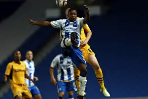 Brighton & Hove Albion vs Newport County AFC: 2013-14 Home Game