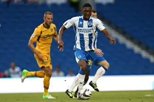 Newport County AFC - 06-08-2013 Prints: Brighton & Hove Albion vs Newport County AFC (2013-14): Home Game Highlights - 06-08-2013