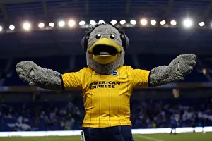 Newport County AFC - 06-08-2013 Prints: Brighton & Hove Albion vs Newport County AFC (2013-14): Home Game Highlights - 6-8-2013