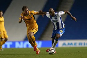 Brighton & Hove Albion vs Newport County AFC (2013-14): Home Game Highlights - August 6, 2013