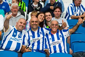 Brighton & Hove Albion vs Newport County AFC: 2013-14 Home Game Highlights (August 6, 2013)