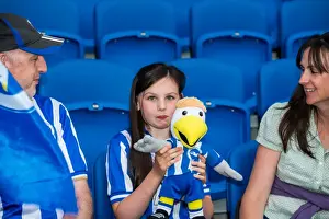 Brighton & Hove Albion vs Newport County AFC (2013-14 Season): Home Game Highlights