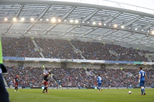 Panorama Prints: Brighton & Hove Albion vs Norwich City: Dale Stephens in Action during the Sky Bet Championship Clash (3rd April 2015)