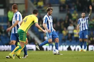 Images Dated 29th October 2016: Brighton & Hove Albion vs. Norwich City: A Football Rivalry Ignites at the American Express