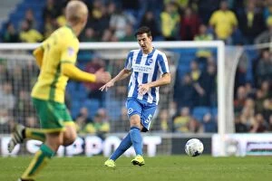 Images Dated 29th October 2016: Brighton and Hove Albion vs. Norwich City: A Championship Battle at American Express Community