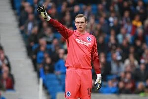 Images Dated 29th October 2016: Brighton & Hove Albion vs Norwich City: David Stockdale in Action, EFL Sky Bet Championship