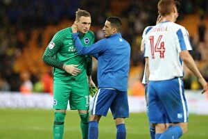 Images Dated 21st April 2017: Brighton and Hove Albion vs. Norwich City: Intense Championship Clash at Carrow Road (21APR17)