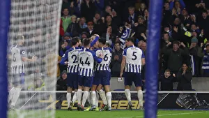 Brighton and Hove Albion vs Norwich City: Premier League Showdown at American Express Community Stadium (November 2019)