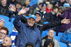 Brighton and Hove Albion vs Norwich City: Premier League Showdown at American Express Community Stadium (November 2, 2019)