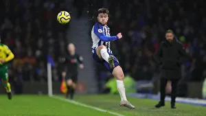 Brighton and Hove Albion vs Norwich City: Premier League Showdown at American Express Community Stadium (November 2, 2019)