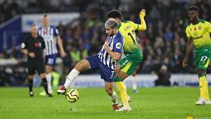 Brighton and Hove Albion vs Norwich City: Premier League Showdown at American Express Community Stadium (November 2, 2019)