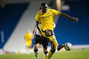 Norwich City - 30-07-2013 Prints: Brighton & Hove Albion vs Norwich City: 2013-14 Pre-Season Clash