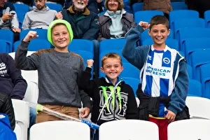 Norwich City - 30-07-2013 Prints: Brighton & Hove Albion vs Norwich City: 2013-14 Pre-Season Clash