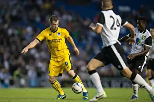 2013-14 Pre-season Prints: Brighton & Hove Albion vs Norwich City: 2013 Pre-Season Clash