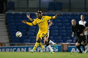 Norwich City - 30-07-2013 Prints: Brighton & Hove Albion vs Norwich City: 2013 Pre-Season Clash - Brighton's 2013-14 Campaign Kickoff