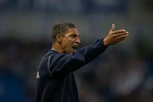 Brighton & Hove Albion vs Norwich City: 2013 Pre-Season Clash - Kickoff to the 2013-14 Campaign