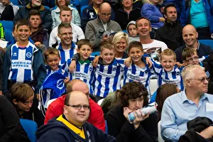 Brighton & Hove Albion vs Norwich City: 2013 Pre-Season Clash - Kickoff to the 2013-14 Season