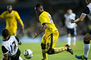 Norwich City - 30-07-2013 Prints: Brighton & Hove Albion vs Norwich City: 2013 Pre-Season Friendly