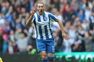 Brighton and Hove Albion vs. Norwich City: A Fierce EFL Sky Bet Championship Showdown (29OCT16)