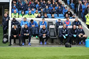 Brighton and Hove Albion vs. Norwich City: A Fierce EFL Sky Bet Championship Showdown (29OCT16)